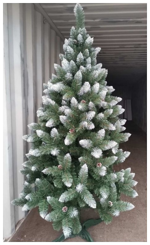 Фотографии Christmas Tree Таежная с белыми концами 1 м