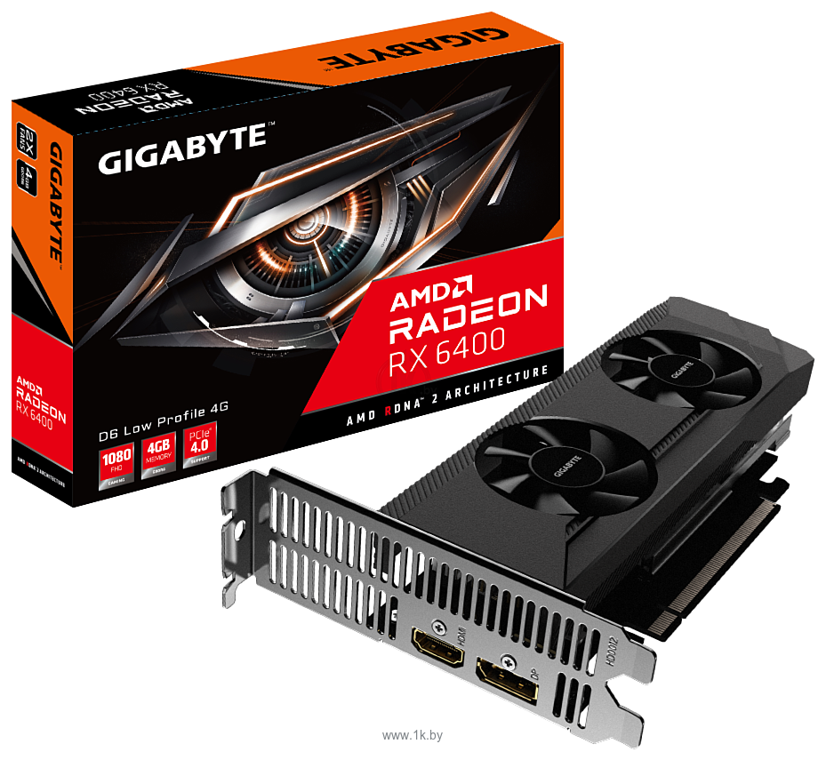Фотографии Gigabyte Radeon RX 6400 D6 Low Profile (GV-R64D6-4GL)