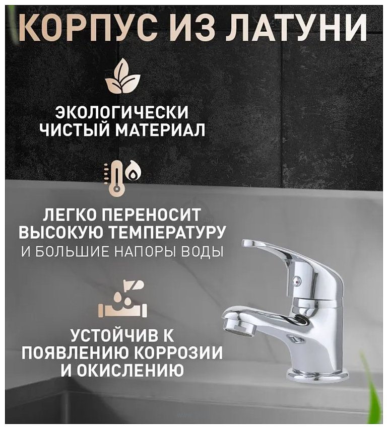 Фотографии Oasis L3000MSh_Mic