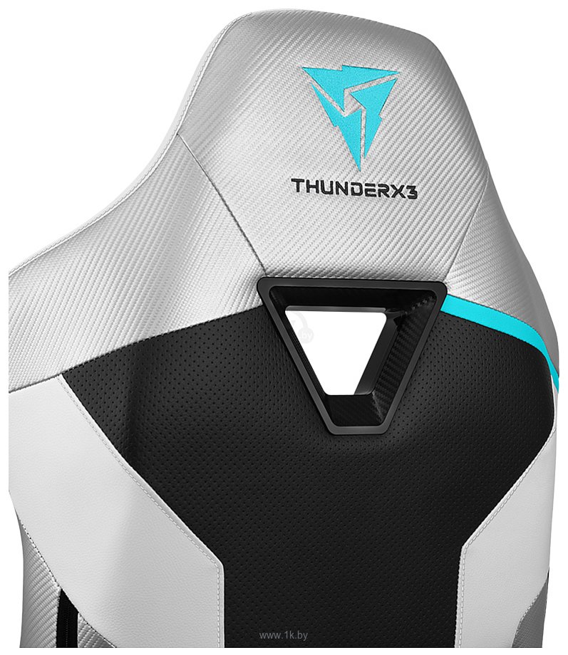 Фотографии ThunderX3 TC3 (черный/белый)