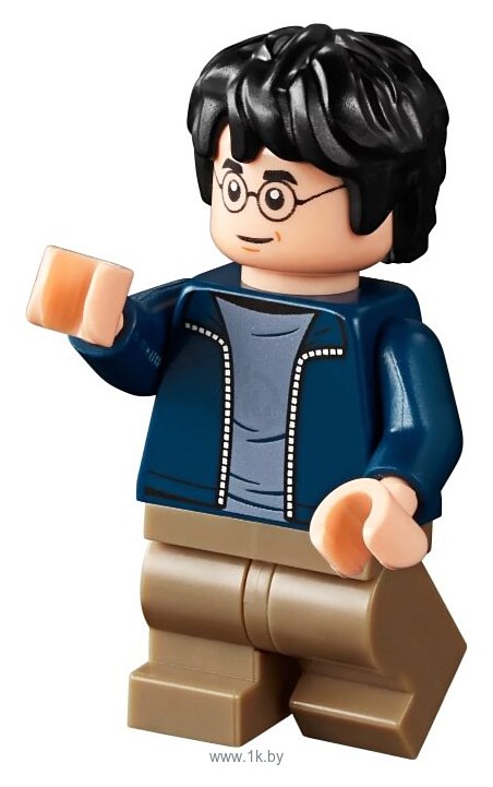 Фотографии LEGO Harry Potter 75947 Хижина Хагрида: спасение Клювокрыла