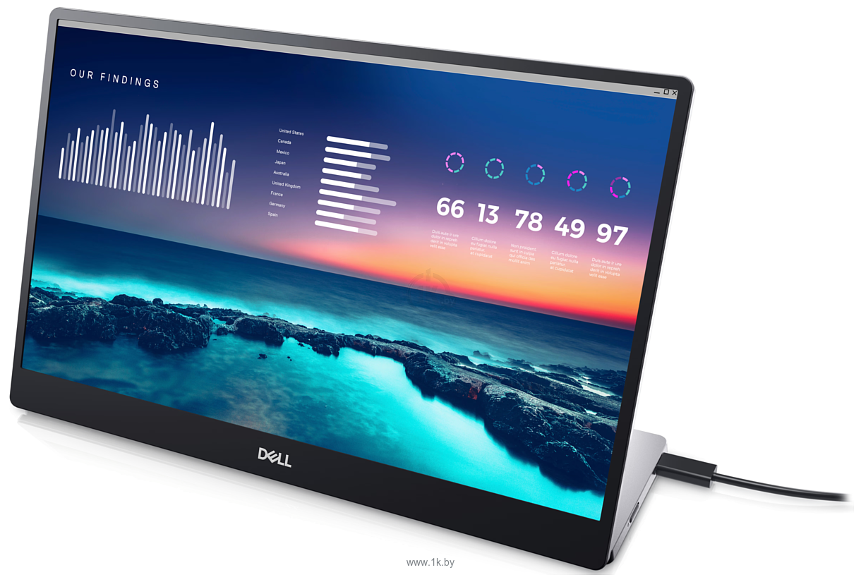 Фотографии Dell P1424H