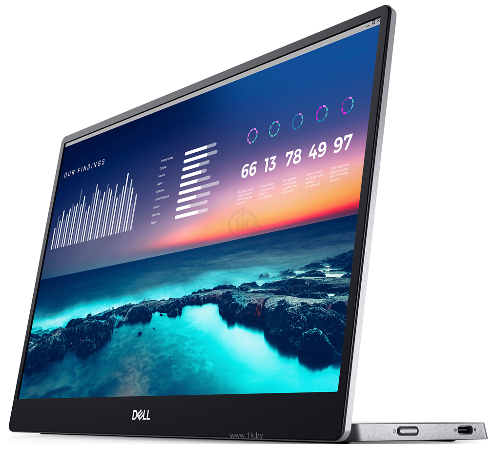 Фотографии Dell P1424H