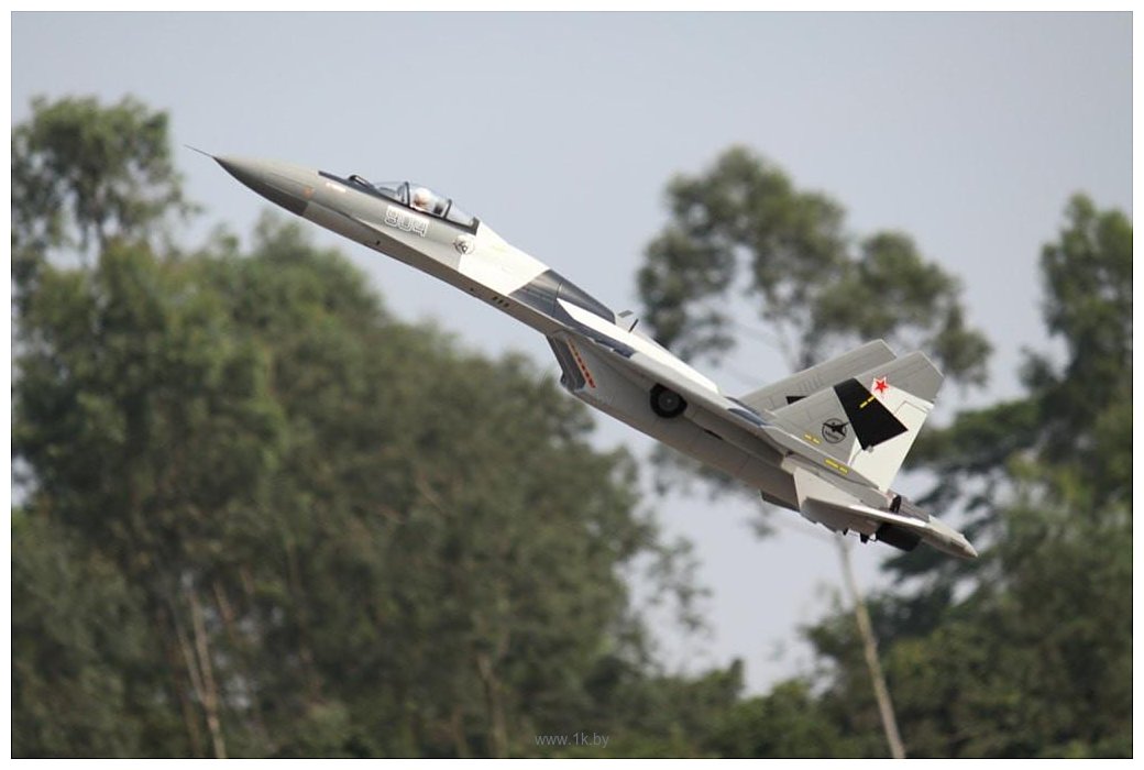 Фотографии FreeWing Su-35 Flanker-E ARF