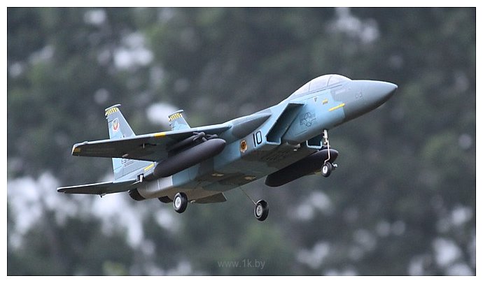 Фотографии FreeWing F15 PNP (FJ109)