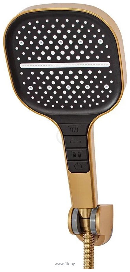 Фотографии Hansberge H4010 (золото матовый)