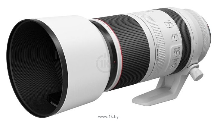 Фотографии Canon RF 100-500mm f/4.5-7.1L IS USM