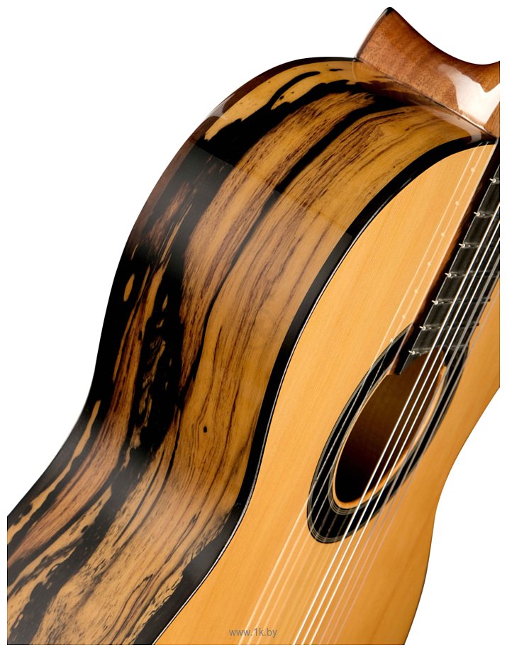 Фотографии Alhambra Classical Conservatory 6 White Ebony 8.891V