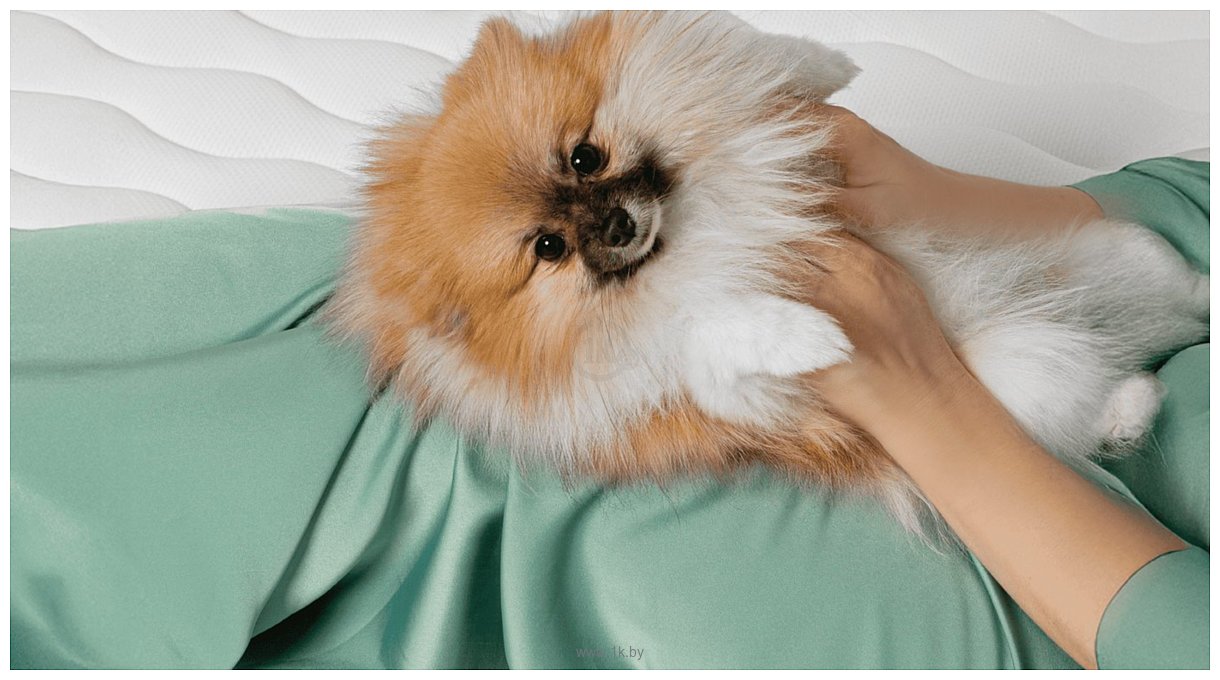 Фотографии Natura Vera Porta 140x200