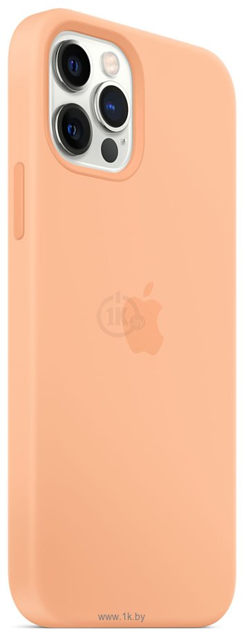 Фотографии Apple MagSafe Silicone Case для iPhone 12/12 Pro (светло-абрикосовый)