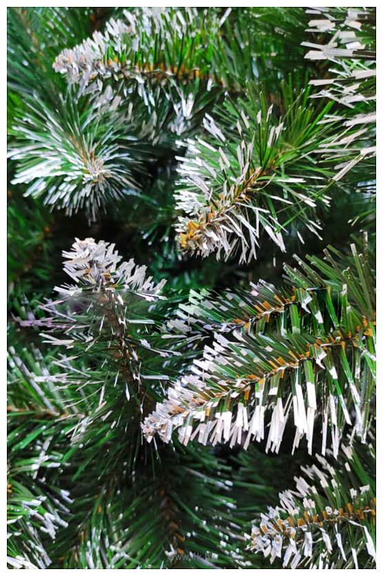 Фотографии Christmas Tree Северная 1.8 м