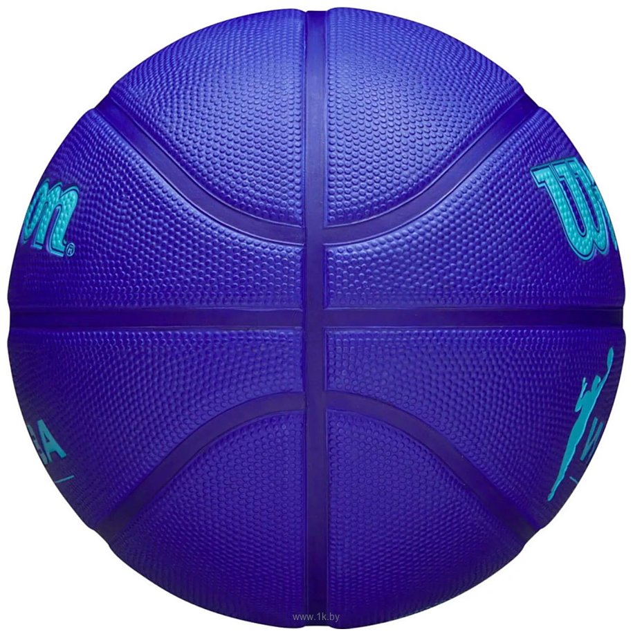 Фотографии Wilson WNBA DRV Outdoor Basketball WZ3006601 (6 размер)