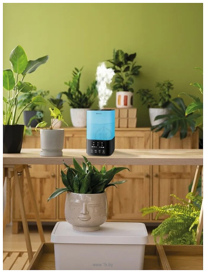 Фотографии NeoClima Vision LED 2.5L