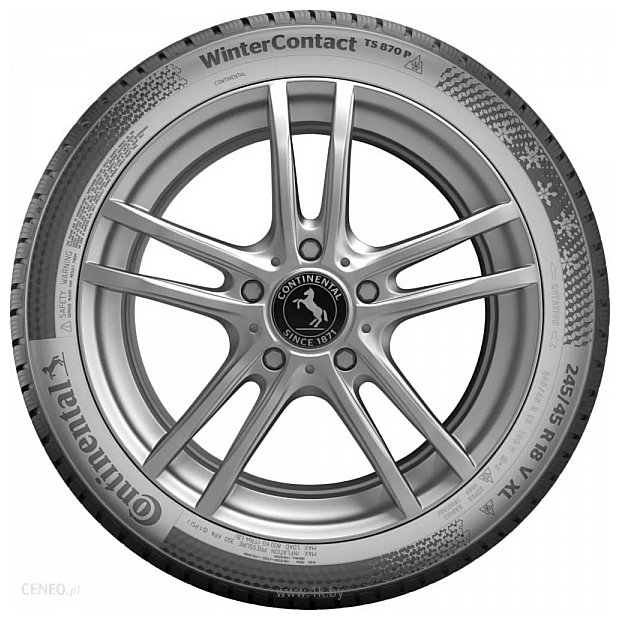 Фотографии Continental WinterContact TS 870 P 245/45 R19 102V