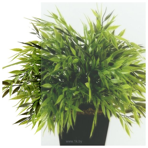 Фотографии Triton Дека-Блэк 90x90 (хром, с поддоном)