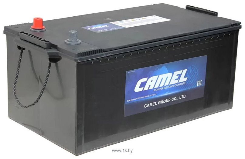 Фотографии Camel 72511 euro (225Ah)