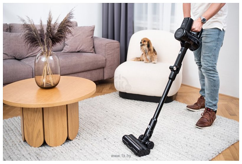 Фотографии Lauben Stick Vacuum 2In1 Pet Plus 400BC