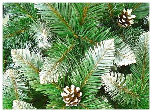 Фотографии Christmas Tree Таежная с белыми концами и с шишками 2 м