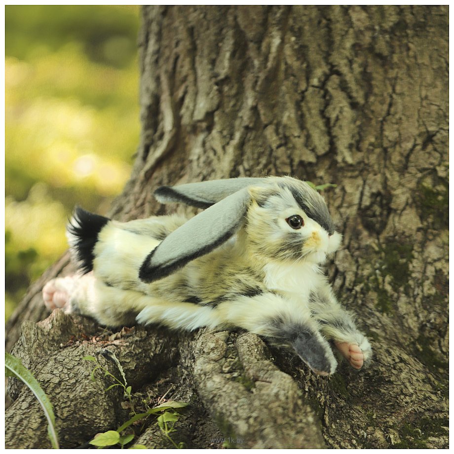 Фотографии Hansa Сreation Кролик вислоухий серый 6522 (40 см)
