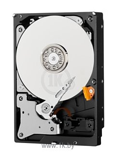 Фотографии Western Digital Purple 2 TB (WD20PURZ)