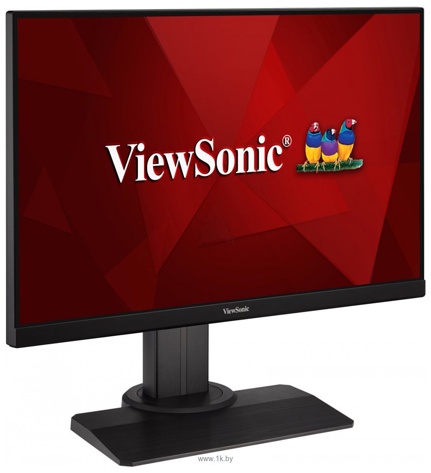 Фотографии ViewSonic XG2405-2