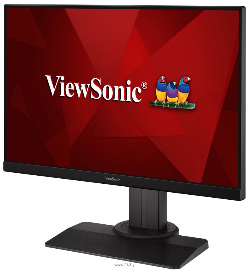 Фотографии ViewSonic XG2405-2