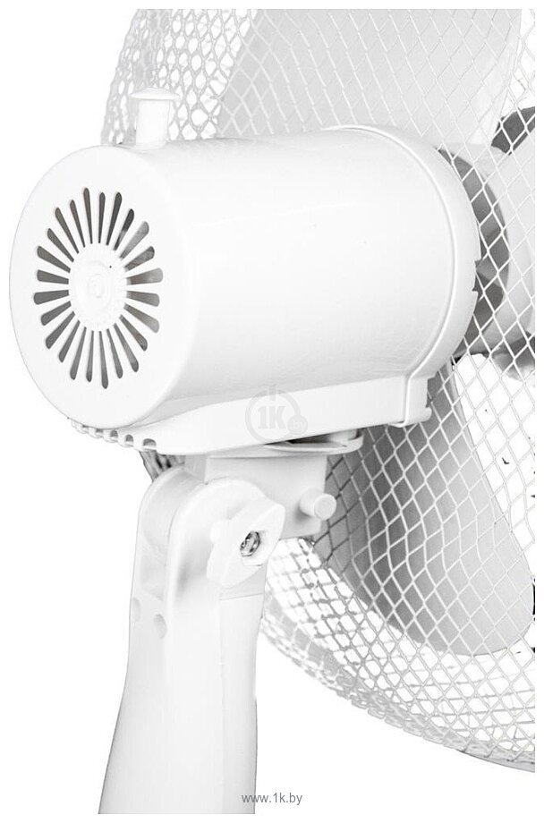 Фотографии Skiper FO-40 Фотографии Skiper FO-40