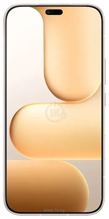 Фотографии HONOR 600 Lite eSIM 12/256GB (международная версия)