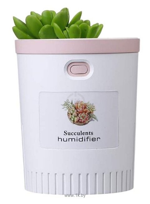 Фотографии Witspace Succulents Humidifier