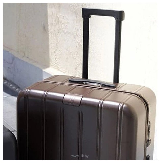 Фотографии Ninetygo Touch Luggage 28" (коричневый)