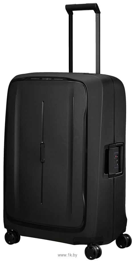 Фотографии Samsonite Essens Graphite 75 см