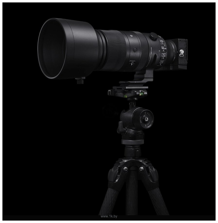 Фотографии Sigma 60–600mm f/4.5–6.3 DG DN OS Sports Sony E-mount