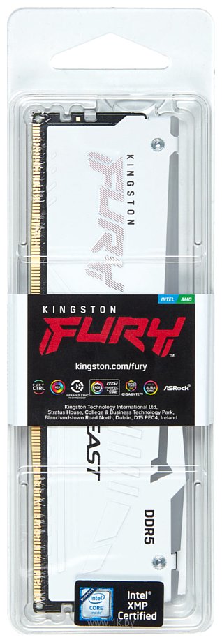 Фотографии Kingston FURY Beast RGB KF564C32BWA-32