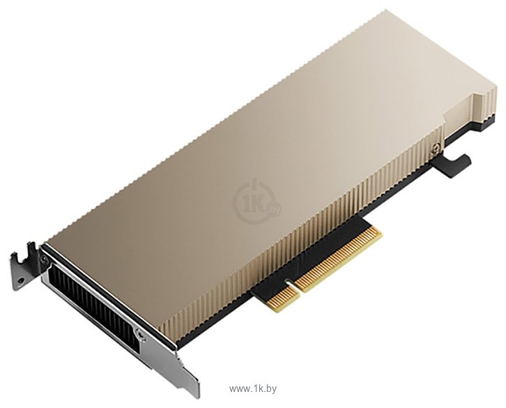 Фотографии PNY Nvidia Tesla A2 16GB (TCSA2M-PB)