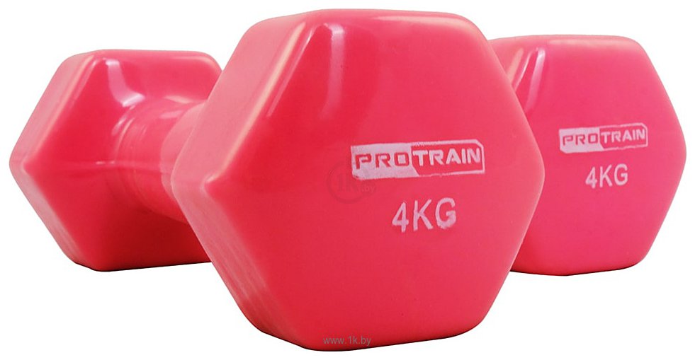 Фотографии Protrain HC4005-4 2x4 кг