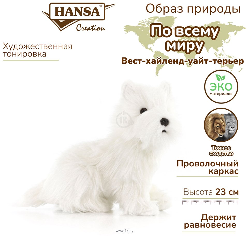 Фотографии Hansa Сreation Собака вест-хайленд-уайт-терьер 4127 (23 см)
