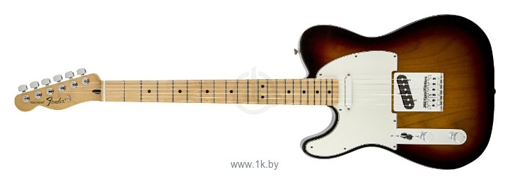 Фотографии Fender Standard Telecaster Left-Hand