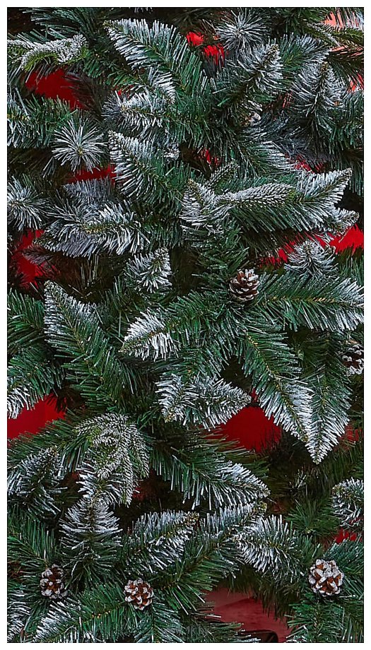Фотографии Holiday trees Olympia 1.8 м