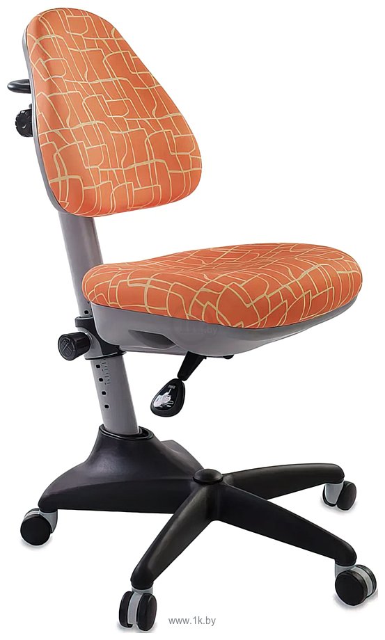 Фотографии Anatomica Study-100 Lux + органайзер с оранжевым креслом KD-2 (клен/серый)