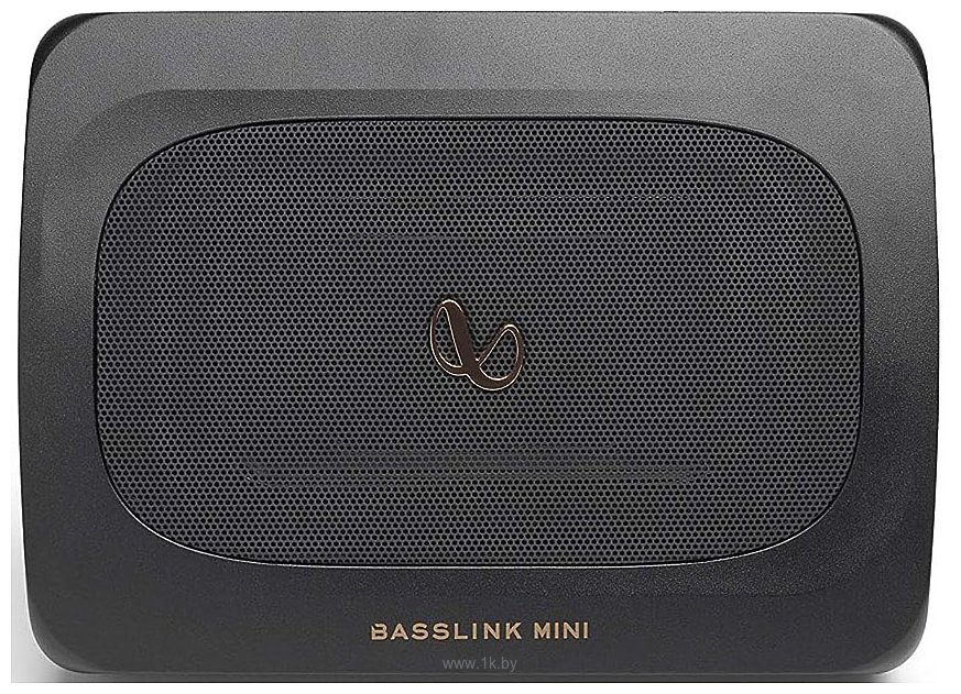 Фотографии Infinity Basslink Mini