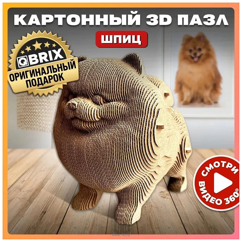 Фотографии QBRIX Шпиц 3D 20023