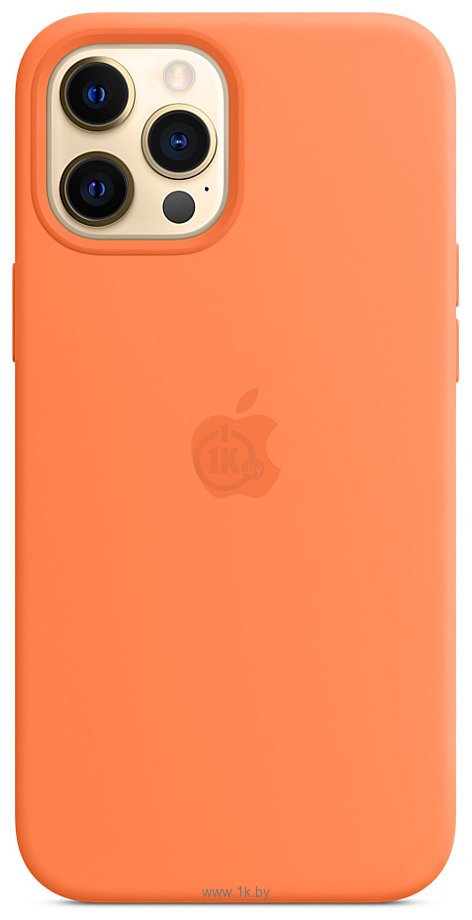 Фотографии Apple MagSafe Silicone Case для iPhone 12 Pro Max (кумкват)