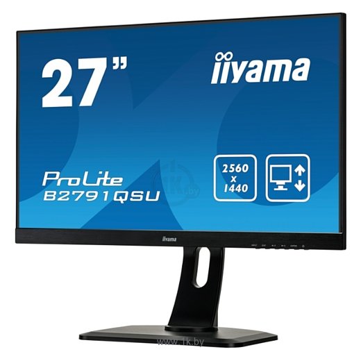 Фотографии Iiyama ProLite B2791QSU-B1