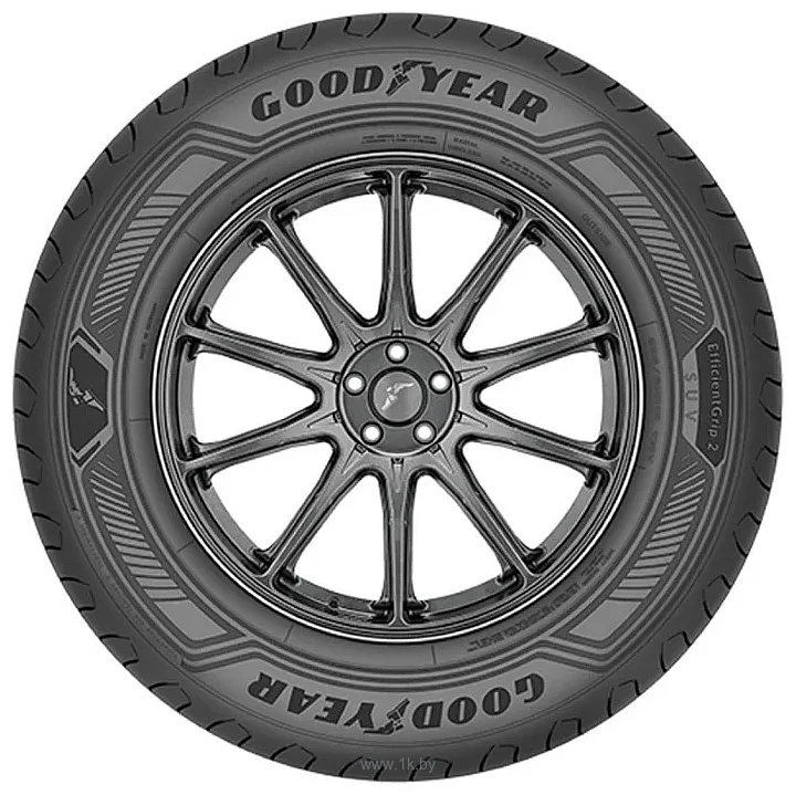 Фотографии Goodyear EfficientGrip 2 SUV 255/55 R19 111V