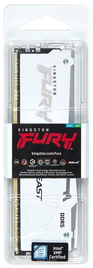 Фотографии Kingston FURY Beast RGB KF560C36BWE2A-16