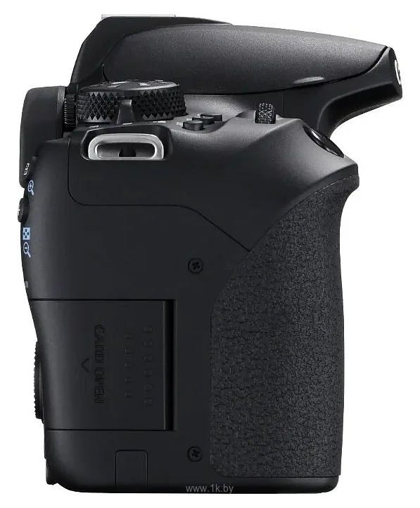 Фотографии Canon EOS 850D Body Фотографии Canon EOS 850D Body
