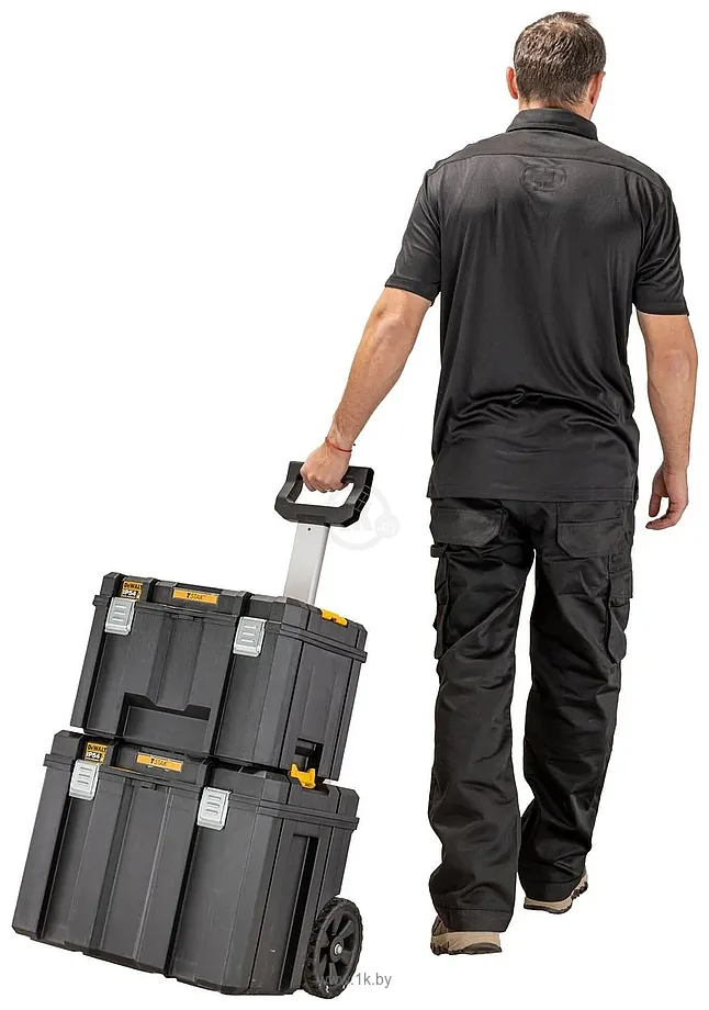 Фотографии DeWalt TSTAK DWST83347-1