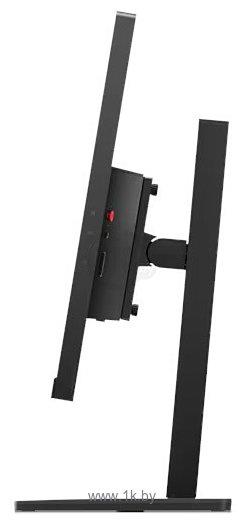 Фотографии Lenovo ThinkVision E24-30 (63EDMAT2EU)