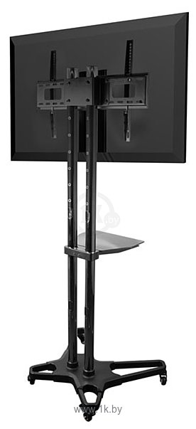 Фотографии Arm Media PT-STAND-2