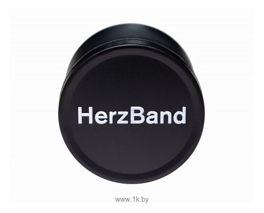 Фотографии HerzBand Active Pro 2